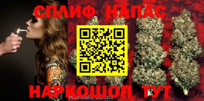 сатива Гагарин