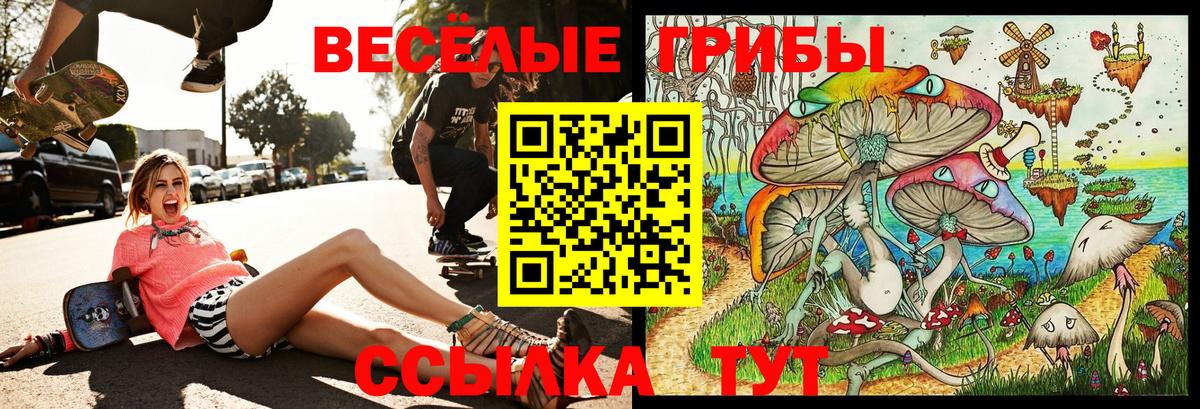 Псилоцибиновые грибы GOLDEN TEACHER  Вход с VPN  Назарово  Псилоцибиновые грибы мицелий 
